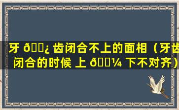 牙 🌿 齿闭合不上的面相（牙齿闭合的时候 上 🐼 下不对齐）